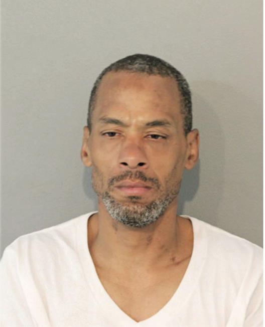 MICHAEL A JOHNSON, Cook County, Illinois