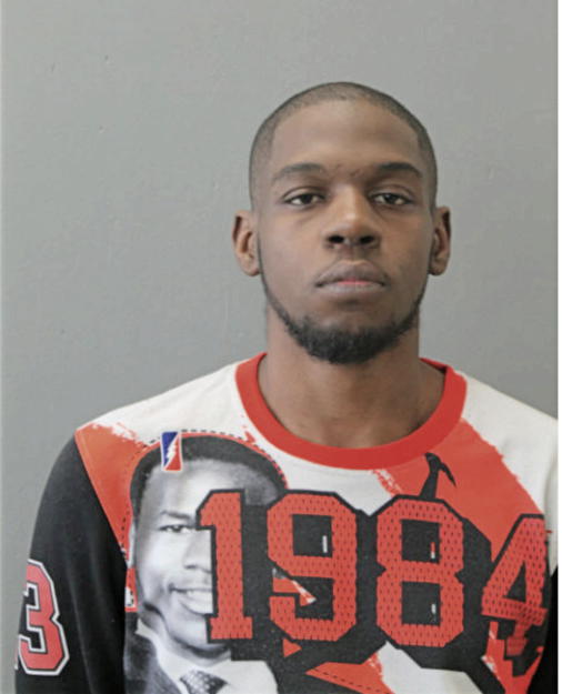 DREW L MARTIN, Cook County, Illinois
