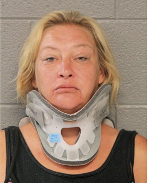 KATHLEEN MEISINGER, Cook County, Illinois