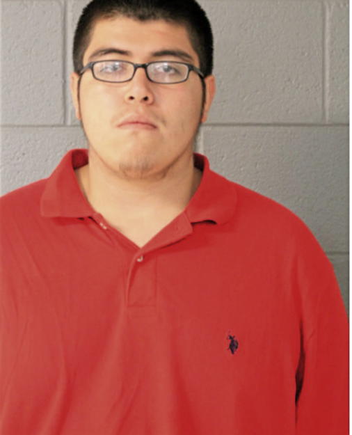 DANIEL E MENDOZA, Cook County, Illinois