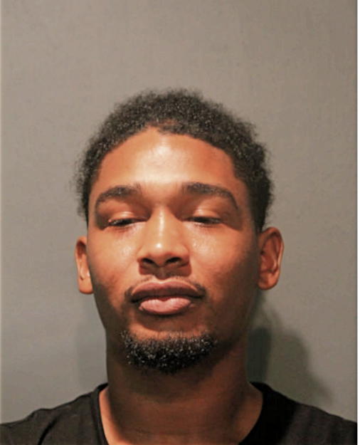 STEVEN D MITCHELL, Cook County, Illinois
