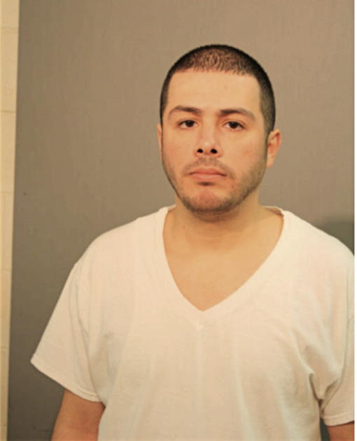 CARLOS OCHOA, Cook County, Illinois