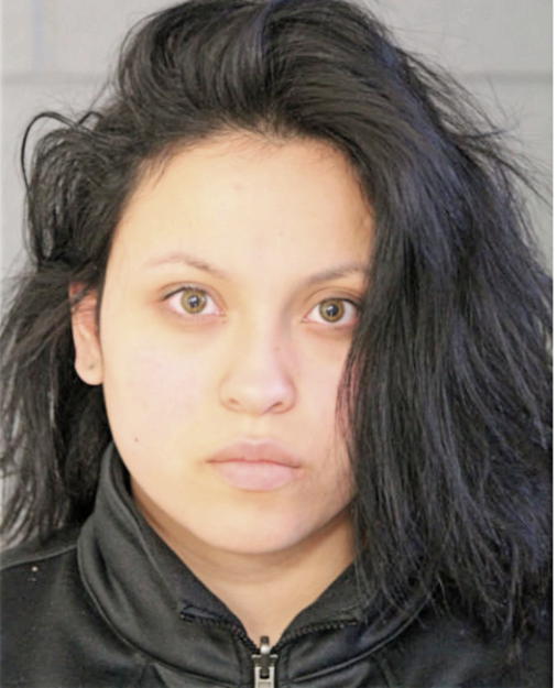 NATALIE M POTEMPA, Cook County, Illinois