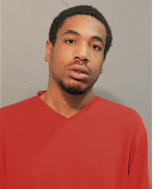 DAMIEN S RICHARDSON, Cook County, Illinois