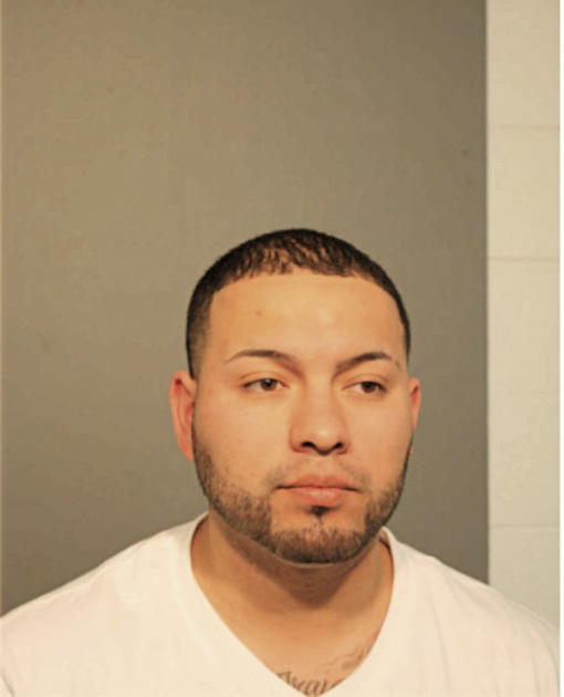 JUAN RUIZ-GUERRA, Cook County, Illinois