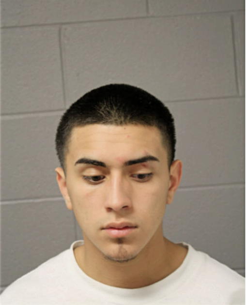 JULIAN G VIEZCA, Cook County, Illinois