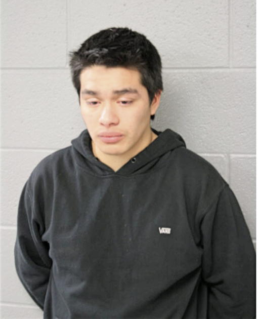 ADRIAN O ZAMORA, Cook County, Illinois