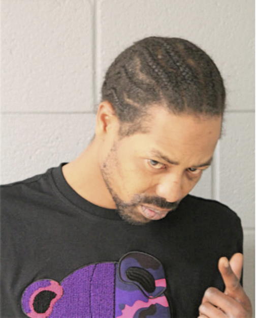 BRIAN M ANDERSON, Cook County, Illinois