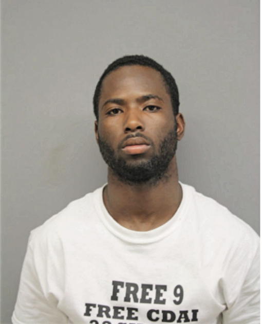 JEROME C ANDERSON, Cook County, Illinois