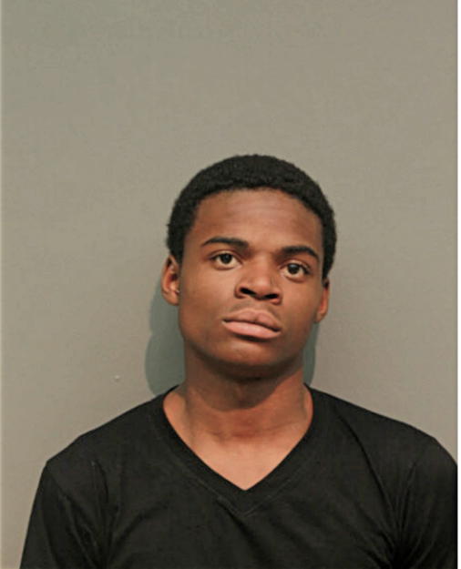 JAREL T BOLDIAN, Cook County, Illinois