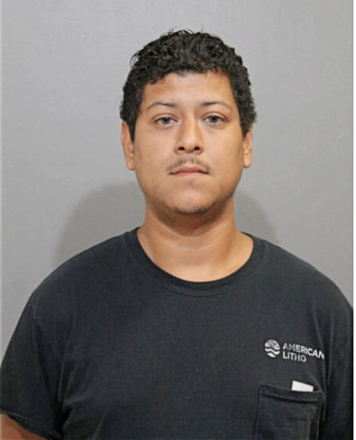 SERGIO U GARCIA, Cook County, Illinois