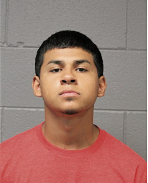 JOEL GUZMAN, Cook County, Illinois