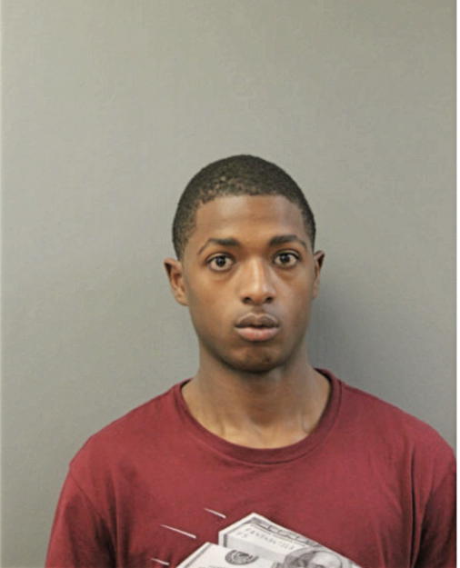 MALIK L HEBRON, Cook County, Illinois