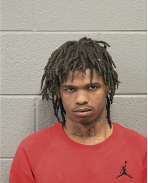 LORENZO G JOHNSON, Cook County, Illinois