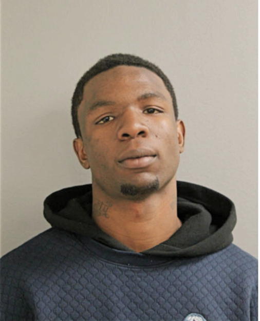TERRANCE A JOHNSON, Cook County, Illinois