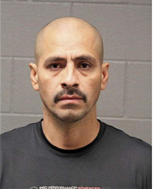 TOMAS LANDA, Cook County, Illinois