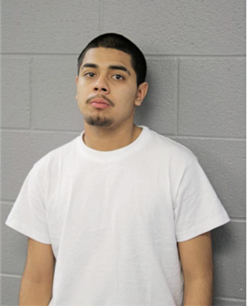 RENE MENDOZA, Cook County, Illinois