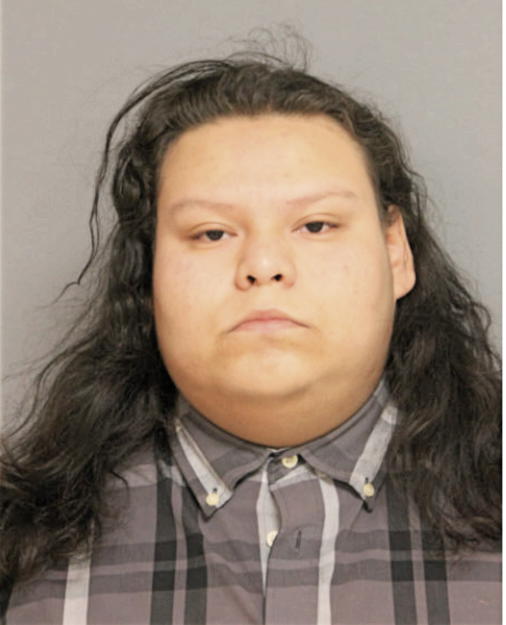 IRVING MOJICA, Cook County, Illinois