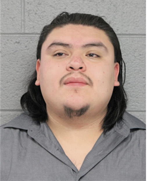 FLAVIO C MONTESDEOCA-MORA, Cook County, Illinois