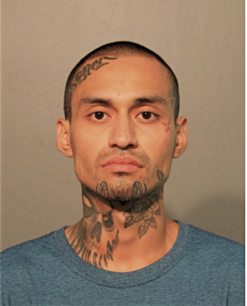 EDWIN G ORTIZ, Cook County, Illinois