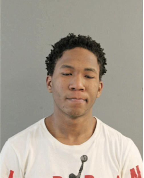 TYLER T PERKINS, Cook County, Illinois