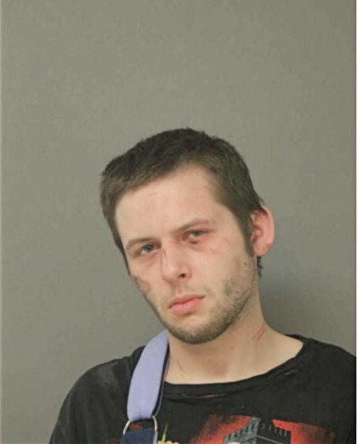 CHRISTIAN A POEPPEL, Cook County, Illinois