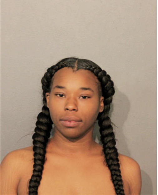ICEISS S PRIEST, Cook County, Illinois