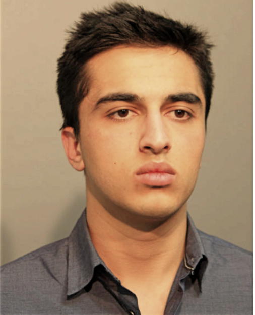ARMAN SHOKOUHI RAD, Cook County, Illinois