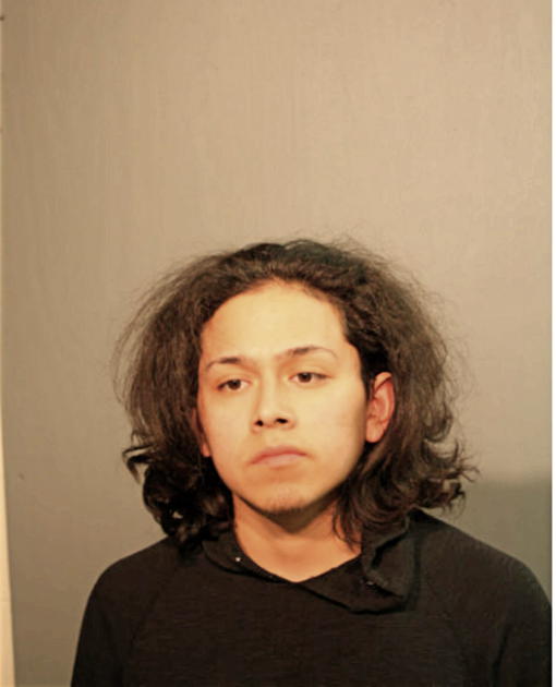 HERNAN RODRIGUEZ, Cook County, Illinois