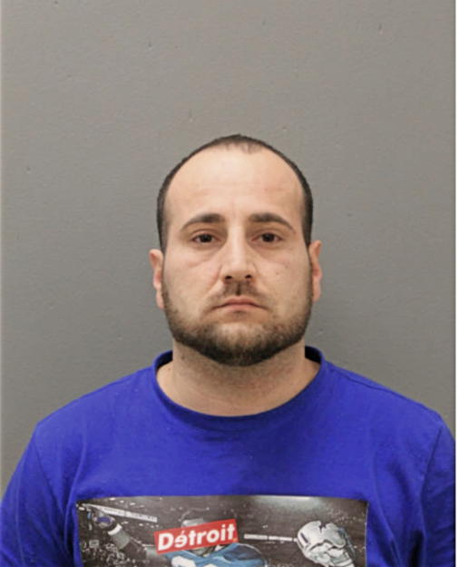 MICHAEL K SINNAWI, Cook County, Illinois