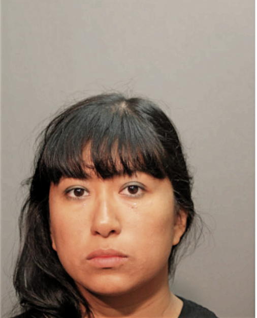 MONICA R TRINIDAD, Cook County, Illinois