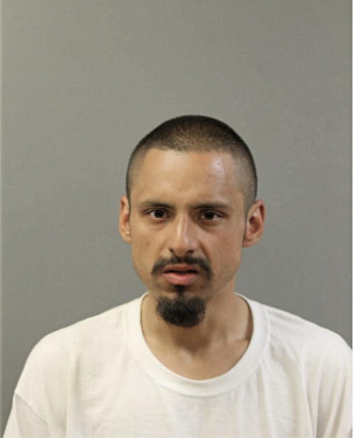 FRANCISCO JAVIER VEGA, Cook County, Illinois