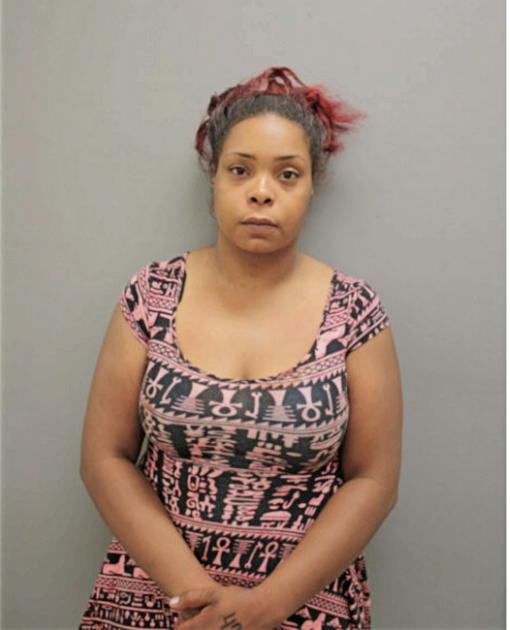BRITTANY N WASHINGTON, Cook County, Illinois