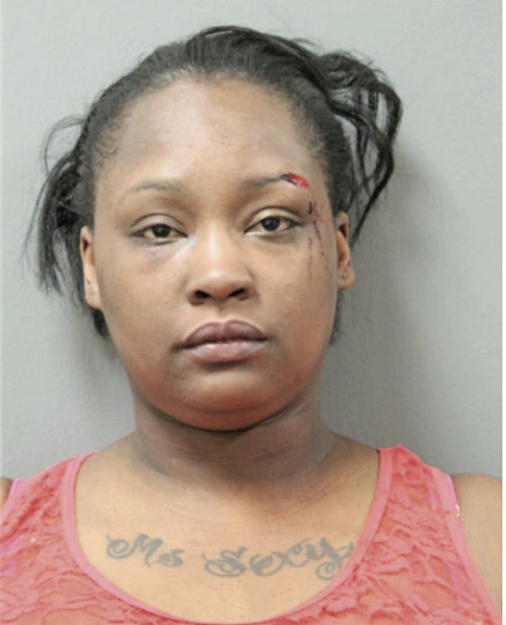 LAWANDA L WILLIAMS, Cook County, Illinois