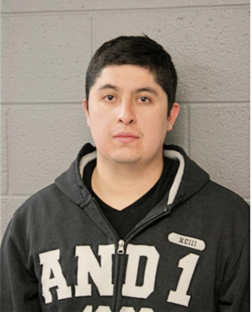 KEVIN M A TREJO-SANDOVAL, Cook County, Illinois