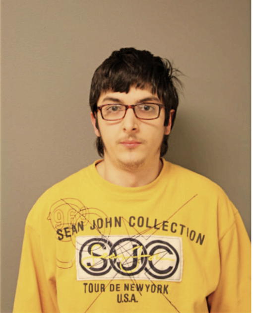LUIS F ALVAREZ, Cook County, Illinois