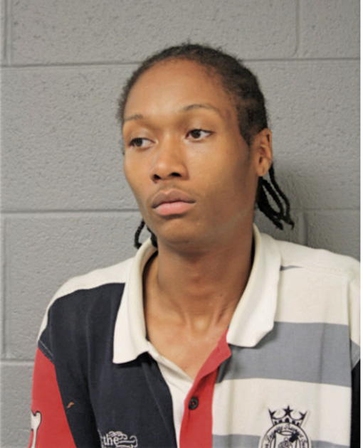 CHRISTOPHER D ANDERSON, Cook County, Illinois