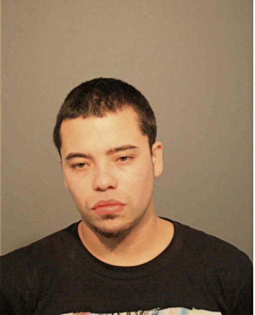 LUIS A AYALA, Cook County, Illinois