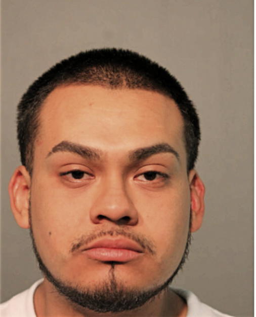 FRANCIS BAHENA, Cook County, Illinois