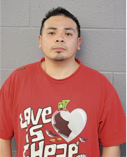 JOSE BAHENA, Cook County, Illinois
