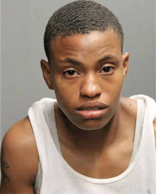 TIANA T BAILEY, Cook County, Illinois