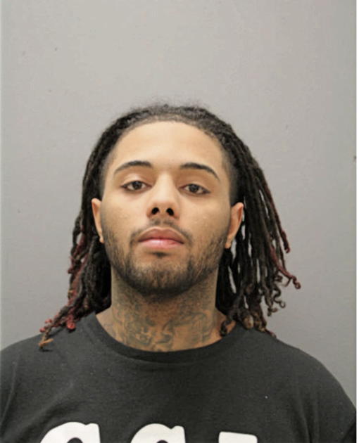 DARION D BROWN, Cook County, Illinois