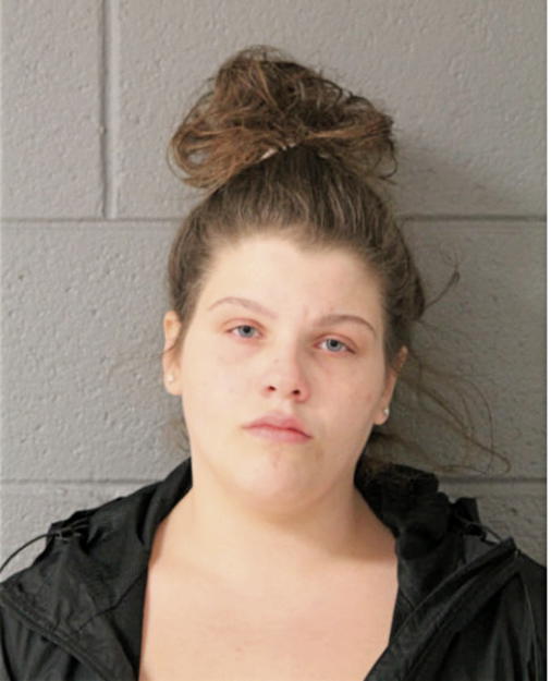 AMBER J CESAK, Cook County, Illinois