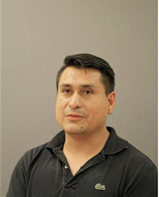 NELSON RODOLFO CUADRADO, Cook County, Illinois