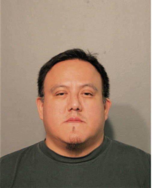 ELVIN E DELUNA, Cook County, Illinois