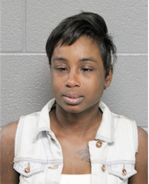 SEVACEA C FENNER, Cook County, Illinois