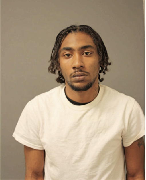 PAUL A FULLER, Cook County, Illinois