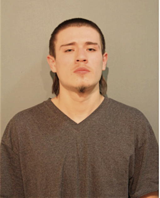 ANTHONY C GUZMAN, Cook County, Illinois