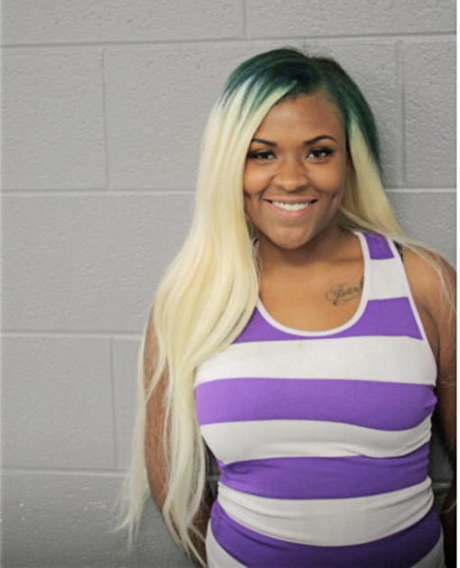 BRIANNA M JOHNSON, Cook County, Illinois