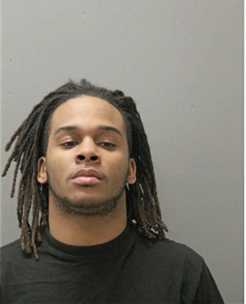 DION D LEWIS, Cook County, Illinois